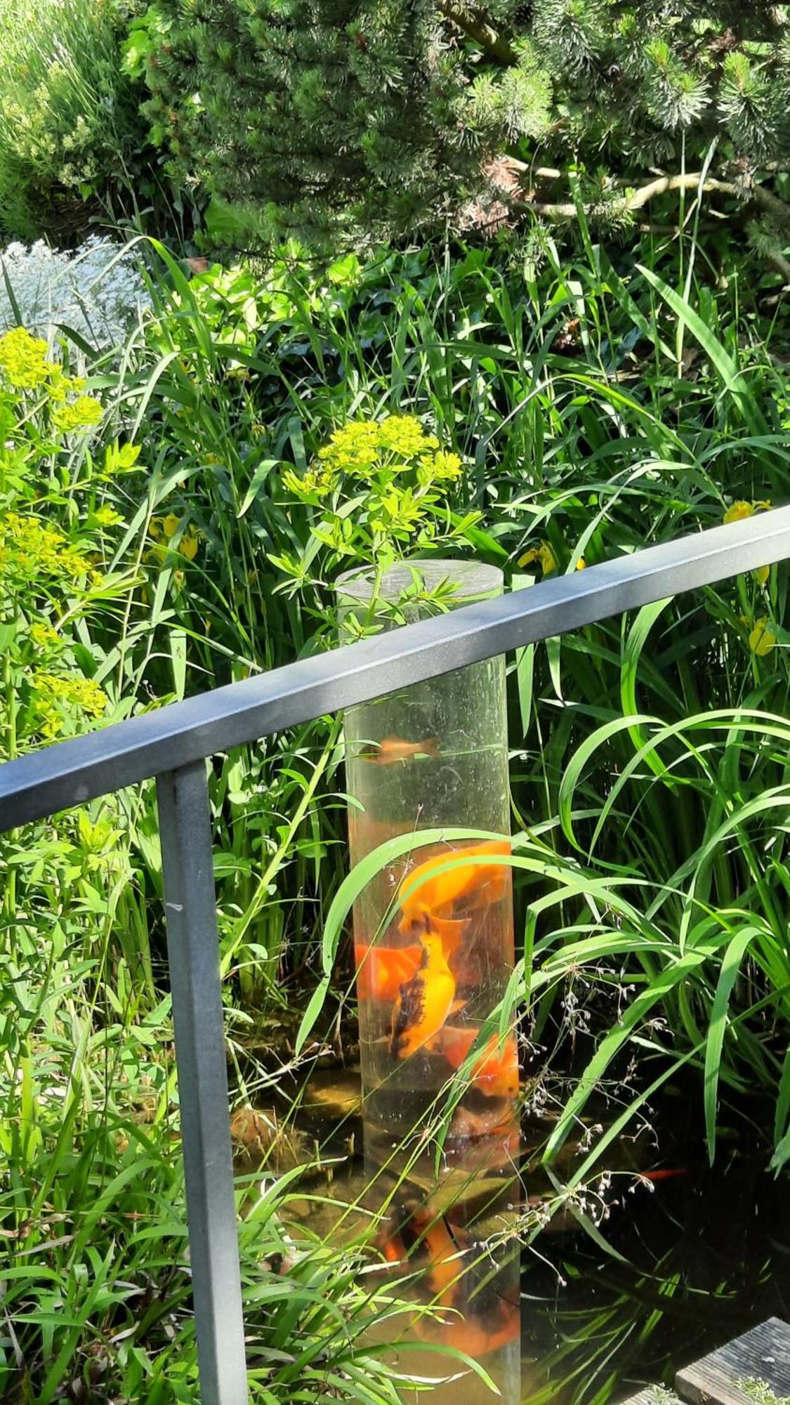 Am Teich Apartman Kamp-Bornhofen Kültér fotó